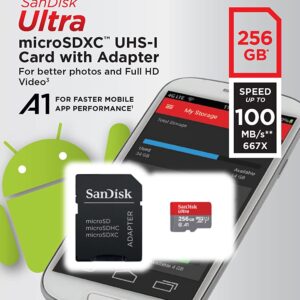 Sandisk 256 GB A1 micro sd class 10